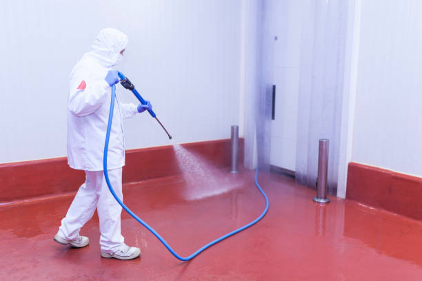 Best Warehouse Cleaning  in Collinsville, TX